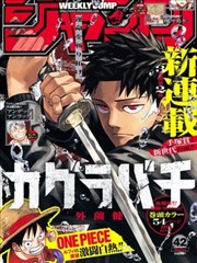 十七岁的回声漫画封面